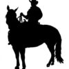 Cowboy 3