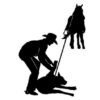 Calf Roper 3