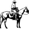 Cowboy 14