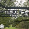 Courtside Acres
