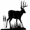Deer 11