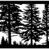 Trees 7  -  48" x 24"
