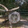 Wicked Oaks Ranch