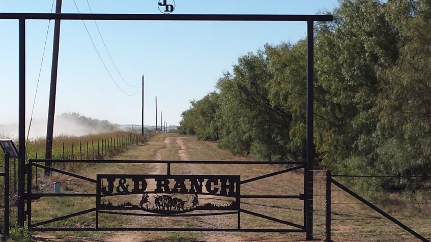 Metal Art Driveway Gate